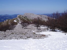 Elorreta Arangurendik ikusita