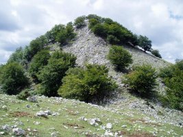 Ipar-ekialdetik ikusita