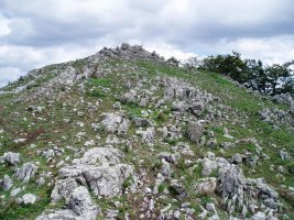 Artatxaganeko tontorra