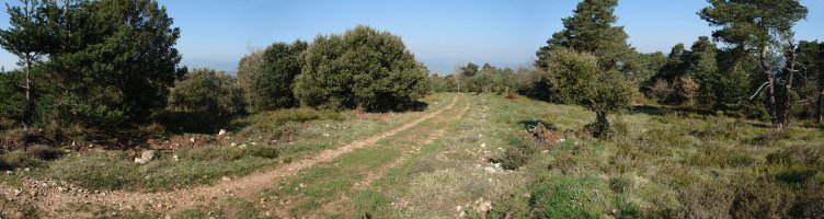 Meldebaldeko bideko pasarte bat