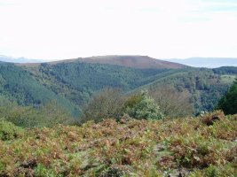 Usako atxatik ikusita