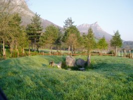 Goikoganetik Tologorri