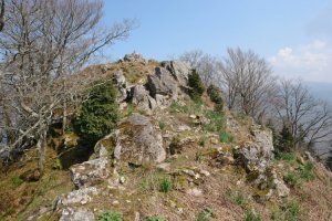 Tontorra hegoaldetik