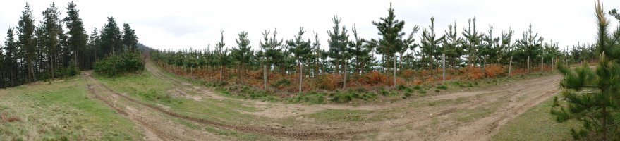 Urnobieta eta Azkarate arteko bidea