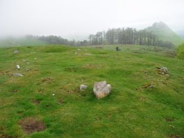 Otarrabizkarrako mairubaratzak