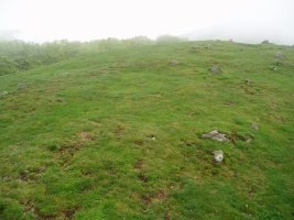 Otarrabizkarrako mairubaratzak