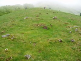 Otarrabizkarrako mairubaratzetako bat