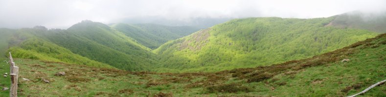 Artsalen hegoaldeko maldatik Baserdiko bailararen ikuspegia