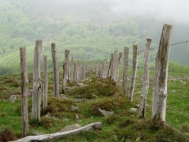 Hesi bikoitza mendebaldeko maldan