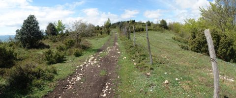 Ekialdeko bizkarreko bidea