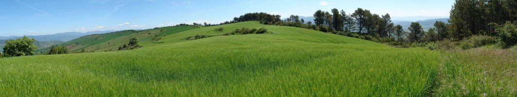 HMko bizkarretik ikusita