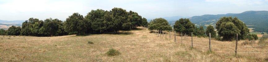 Tontorraren inguruak