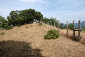 Azken txanpa, Eko bizkarretik