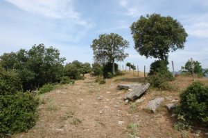 Ekialdeko bizkarreko bidea