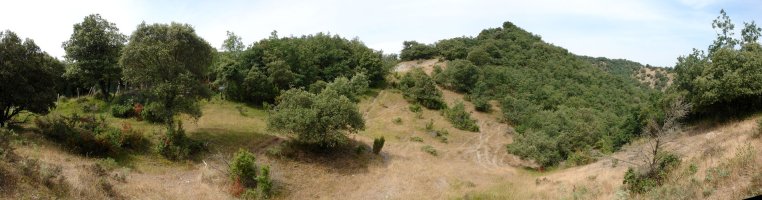 Eko bizkarra, Larreako atakatik ikusita