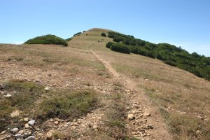 Mendebaldeko bizkarreko bidea