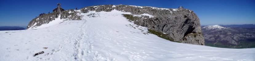 Tontorra ekialdetik ikusita