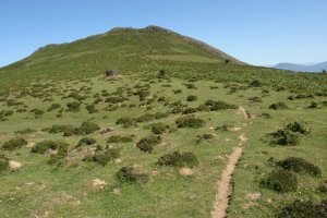 Tontorra HEko lepotik