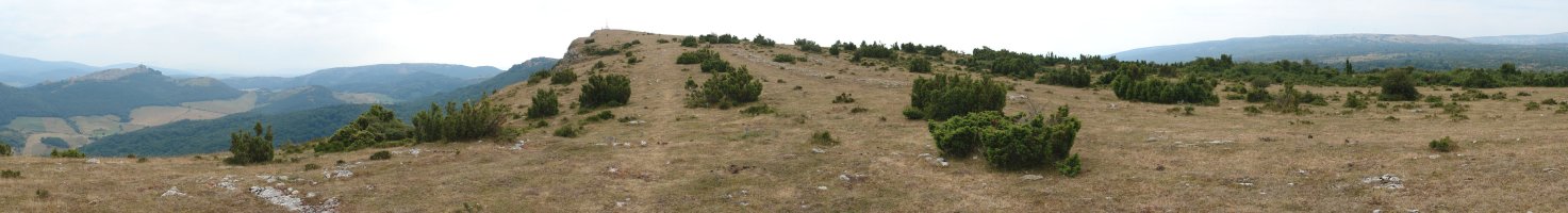 Gain aldea, Mtik ikusita