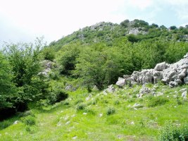 Hego-ekialdetik ikusita