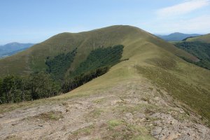 Saioa Okolin aldetik ikusita