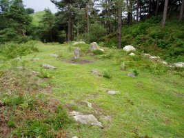 Burnaiztietako lepoko mairubaratzak