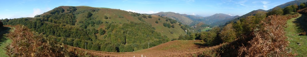 Aritzakun: bailararen goiko aldetik ikusita