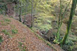 IEko zeharbide zaharra