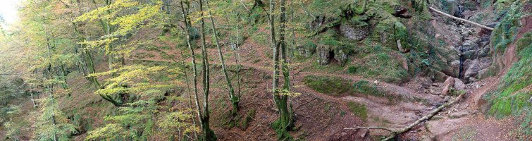 IEko zeharbide zaharra