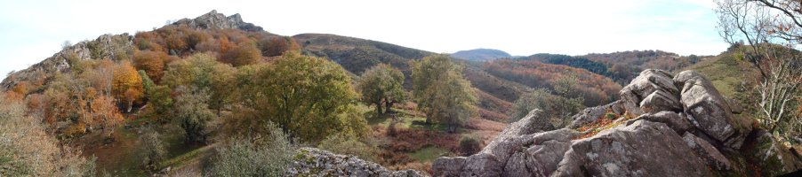 Mendebaldetik ikusita