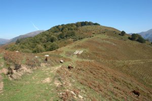 Belaungo lepoa eta Zarkindegi muinoa