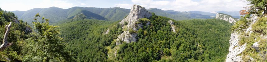 Ipar-ekialdetik ikusita