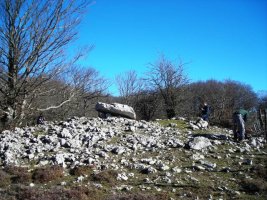 Larrazpileko trikuharria