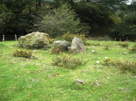 Odiego hegoko trikuharria