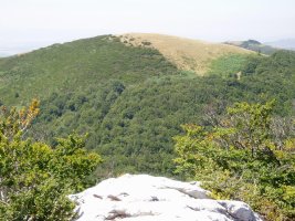 Burgalaitzetik ikusita