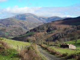 Auza,  Bailegiko  lepotik