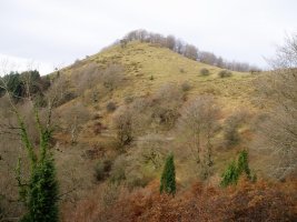 Unanibi ekialdetik ikusita