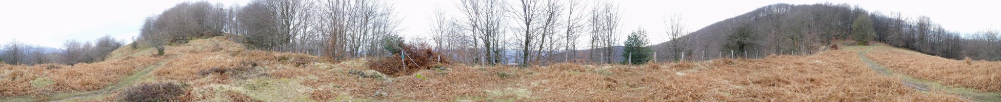 Areatza eta Izozkoa arteko lepoa