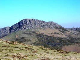 Arxuria, Altsoroiko lepotik