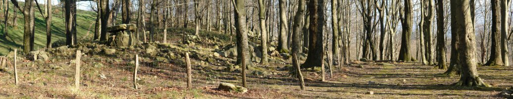 Arizti baten azpian dago