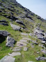 Harlauzekin egindako bidea ekialdean