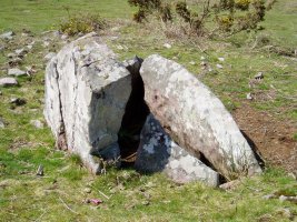 Ibaineta lepoko trikuharria