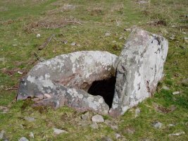 Ibaineta lepoko trikuharria