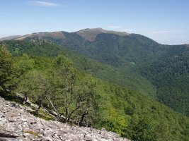 Xuriain, Burdindogiko "balkoitik"