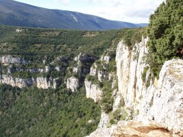 Arroilaren erdiko behatoki naturalak