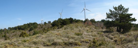 Tontorra Iparraldeko bizkarretik