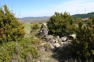 Santa Ageda tontorra