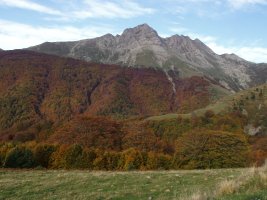 Keleta eta Kartxela udazkenean, Belagoatik