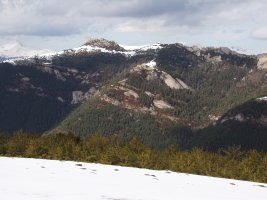 Larratza Puntabarrenatik