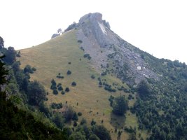 Larratzaren itxura ikusgarria, Ardibidepikuatik